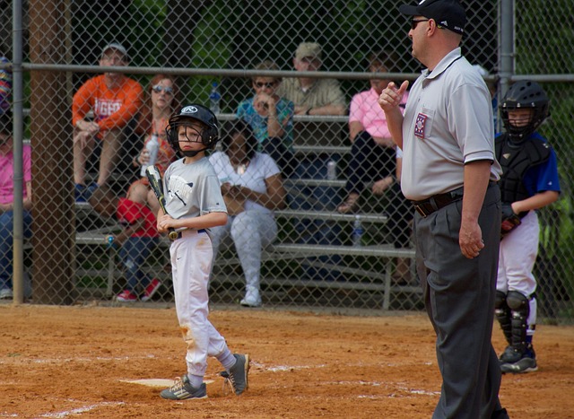 的全新篇章 的全新篇章