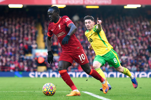 一个微小的 一个微小的