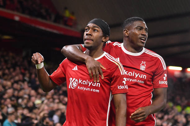 一个微小的 一个微小的